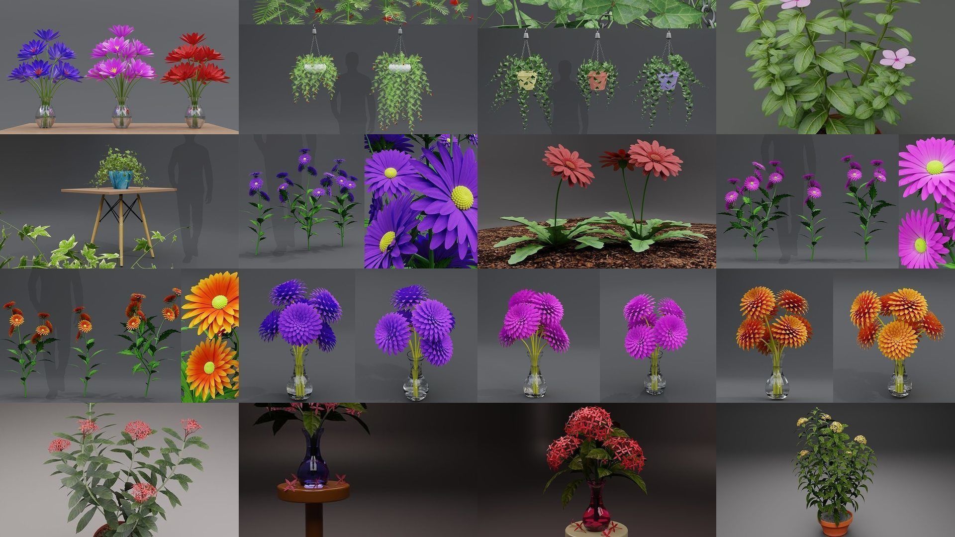 Plant and Flower 3D Model Collection_5