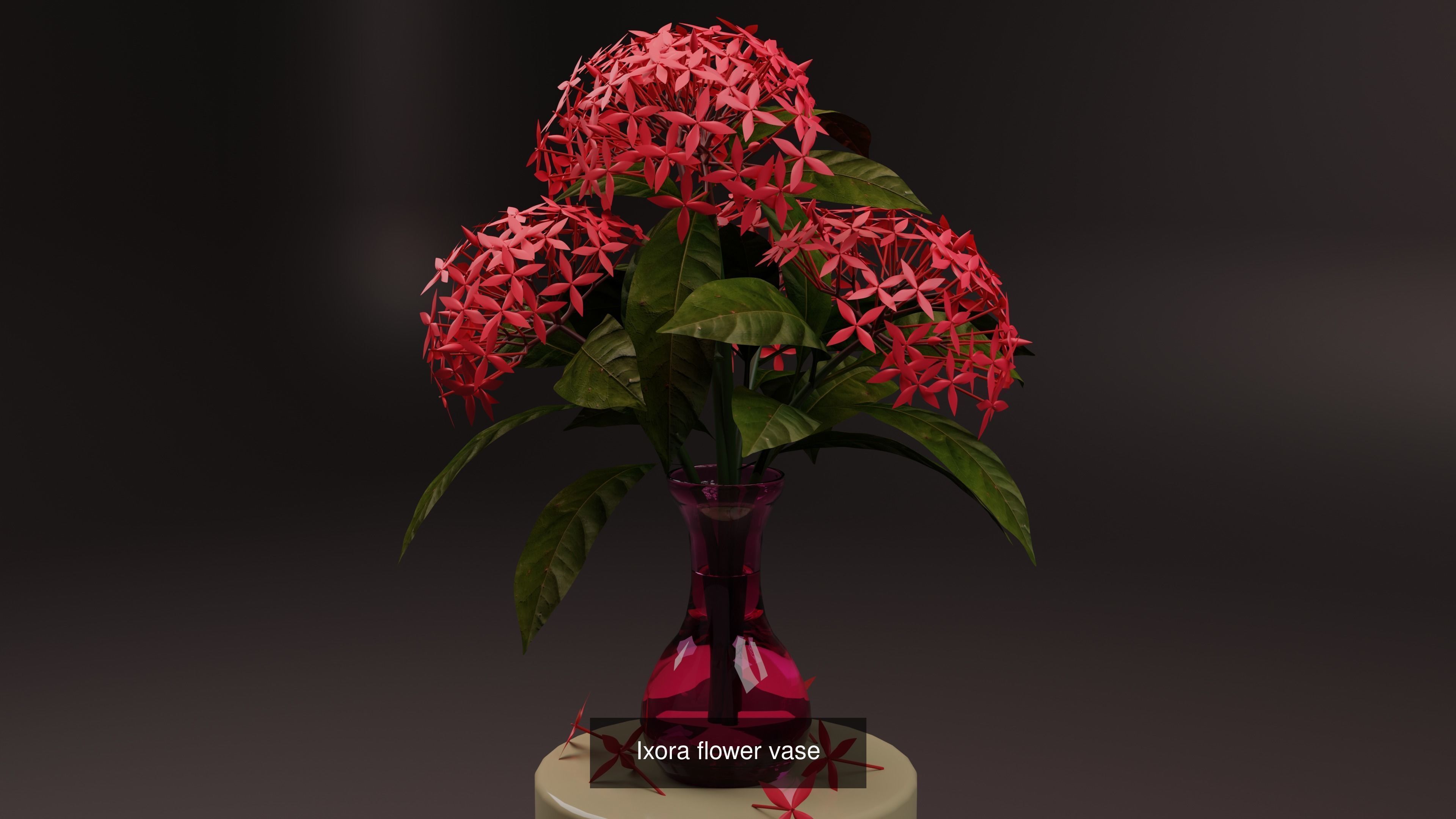 Plant and Flower 3D Model Collection_71