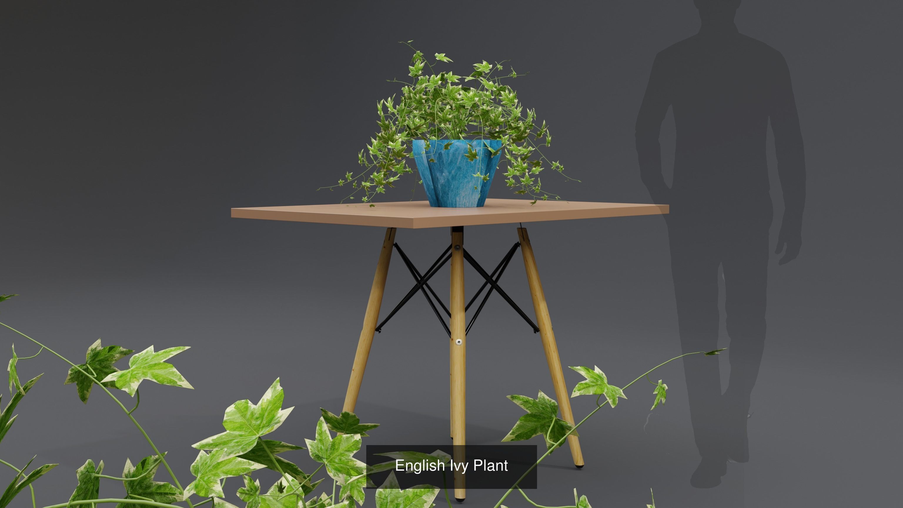 Plant and Flower 3D Model Collection_61