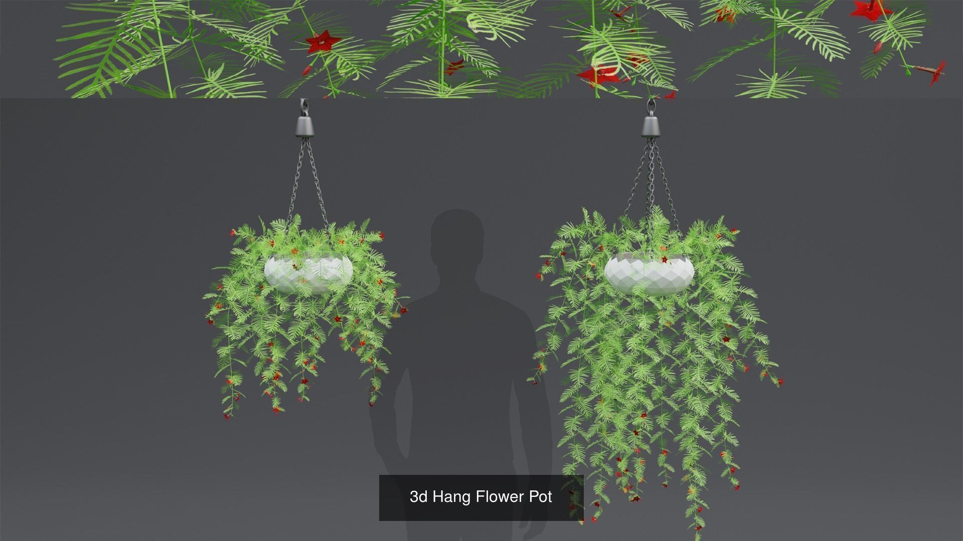 Plant and Flower 3D Model Collection_58