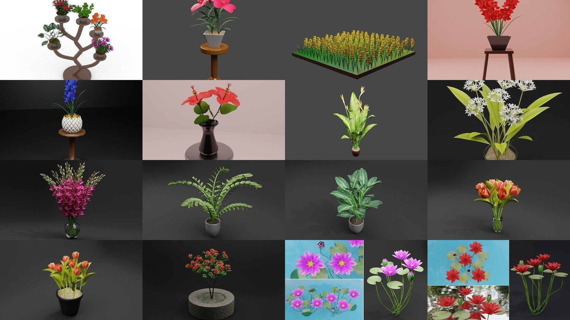 Plant and Flower 3D Model Collection_1