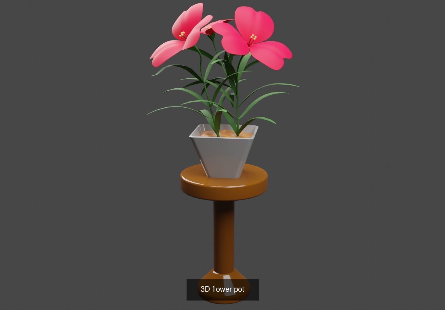 Plant and Flower 3D Model Collection_26