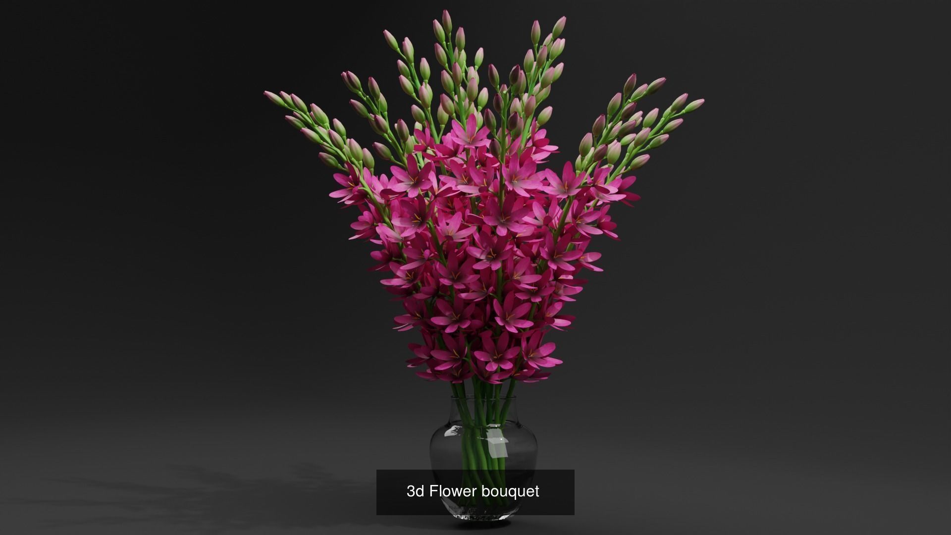 Plant and Flower 3D Model Collection_33