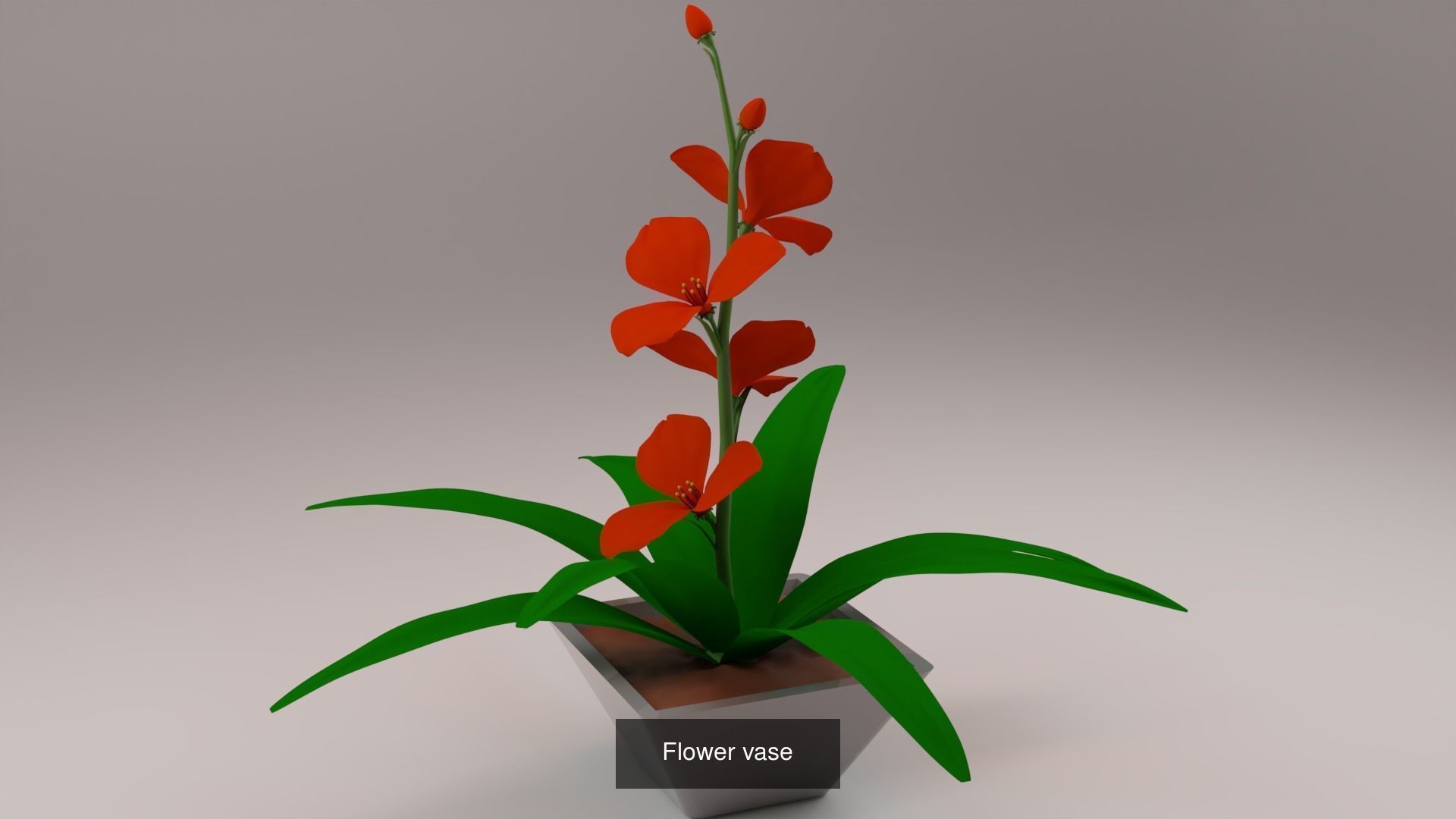 Plant and Flower 3D Model Collection_18