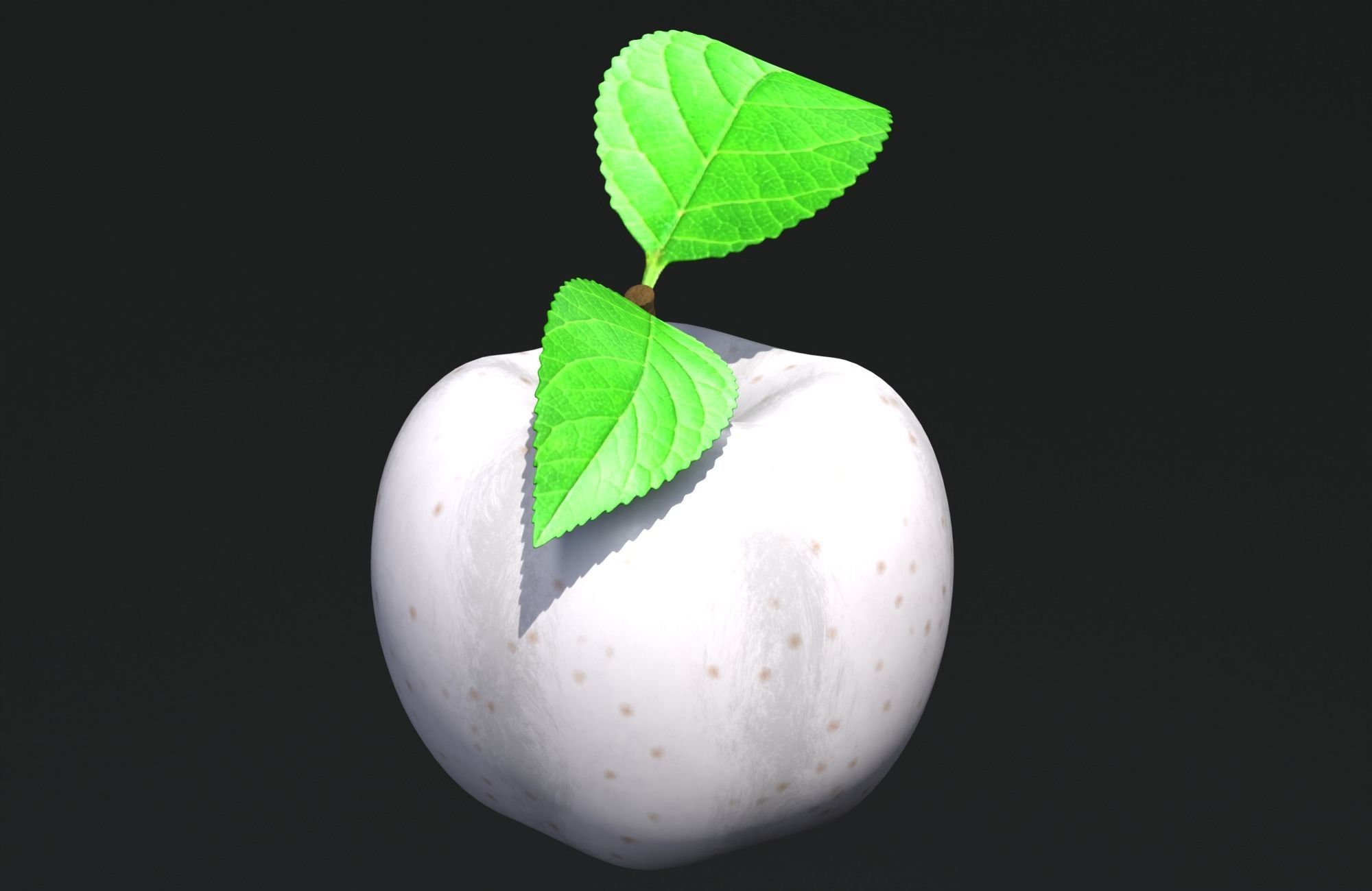 White Apple Low-poly 3D model_3