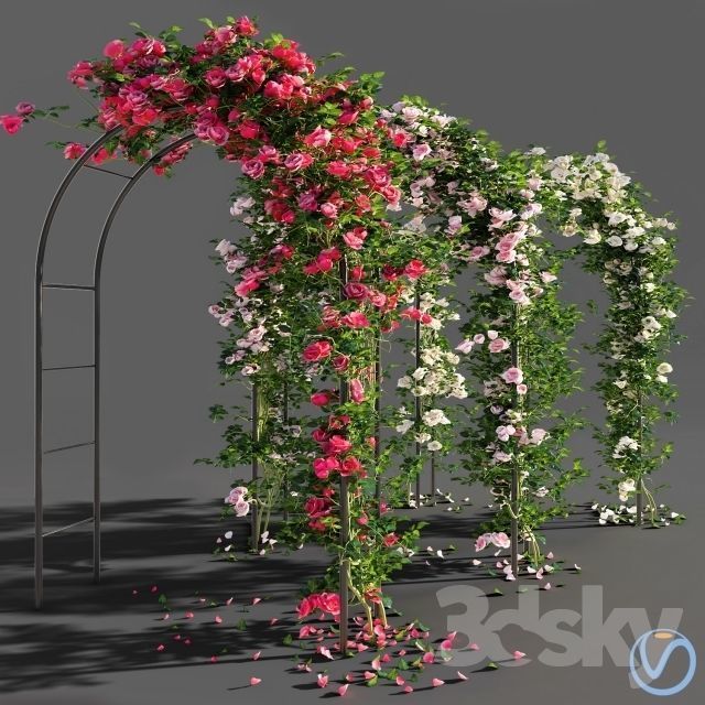 rose flower 3D model_1