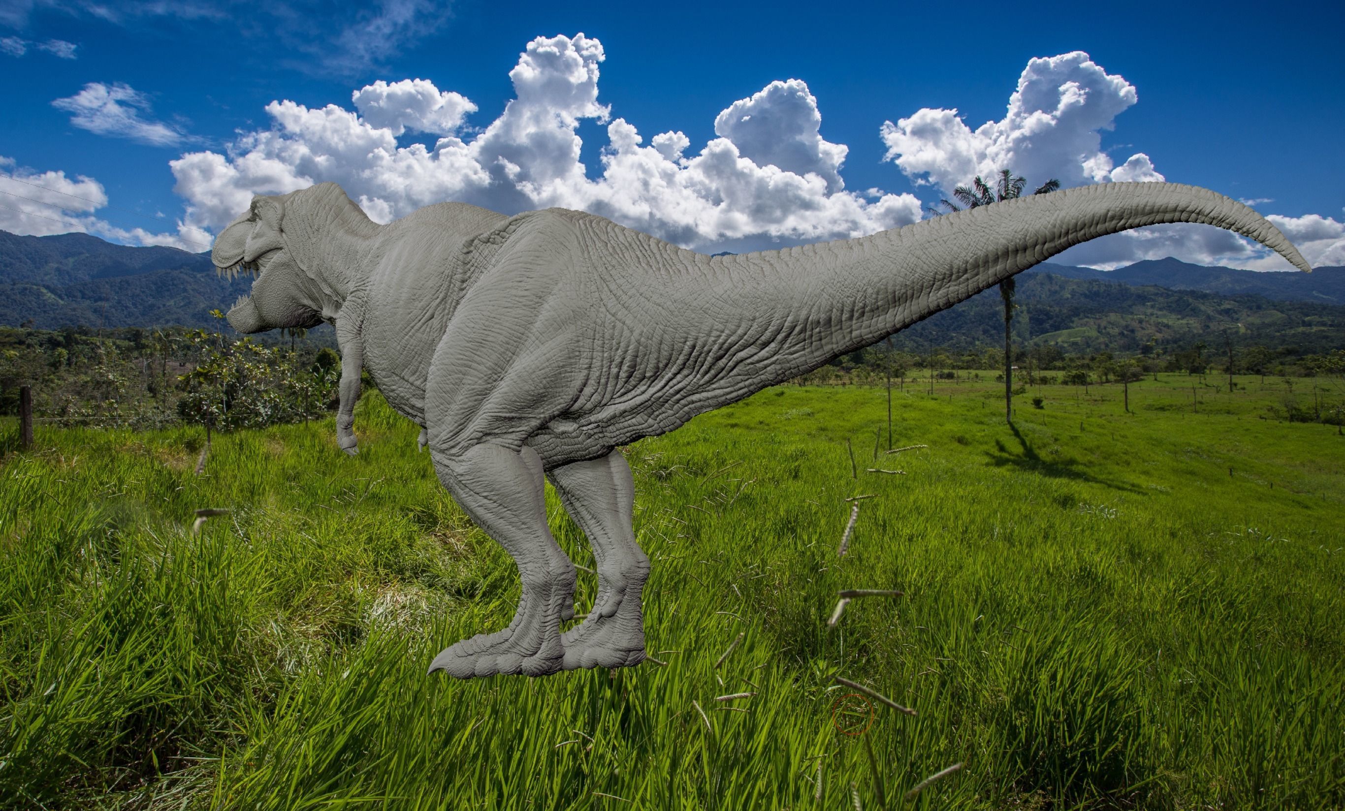 TREX ATC Paleo Art 3D model_5