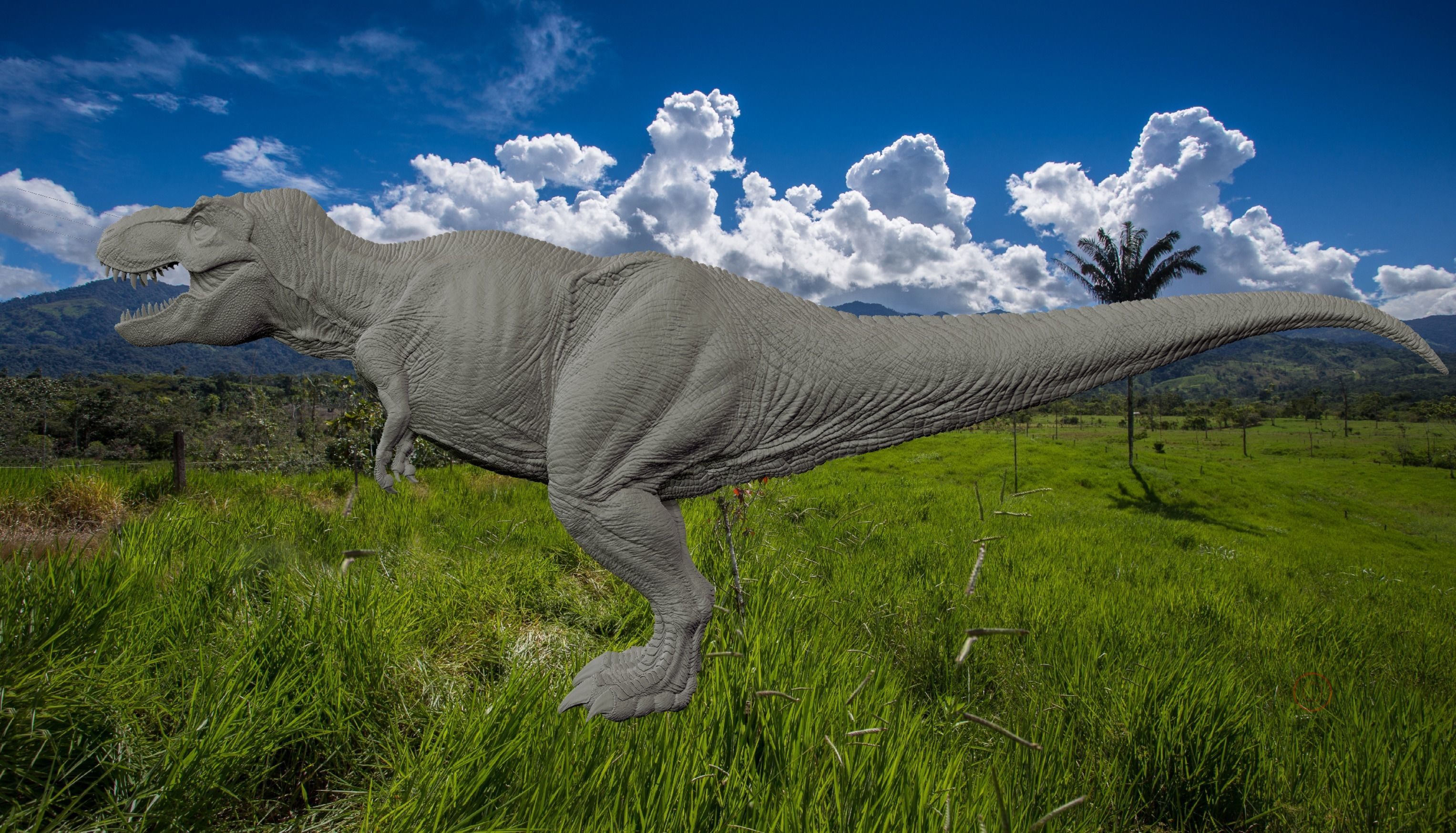 TREX ATC Paleo Art 3D model_4