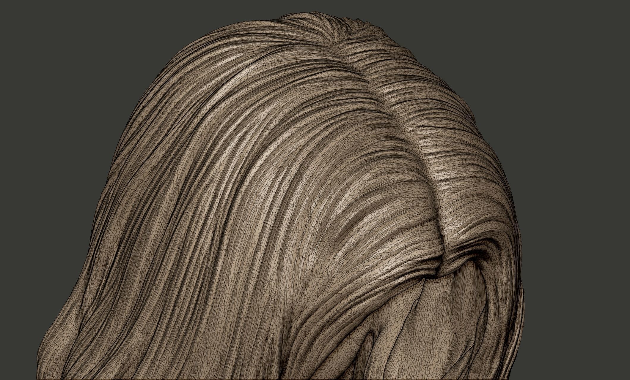 Detailed Hair Sculpt 06 3D print model_10