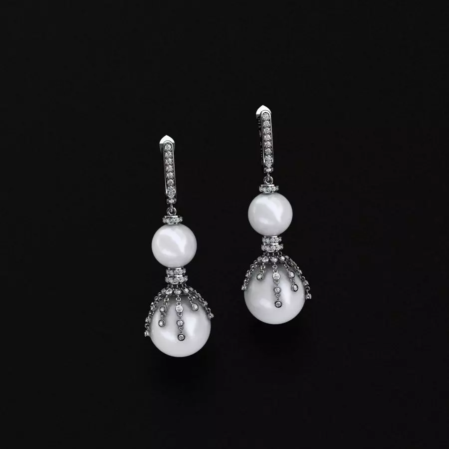 Earrings 3D print model
