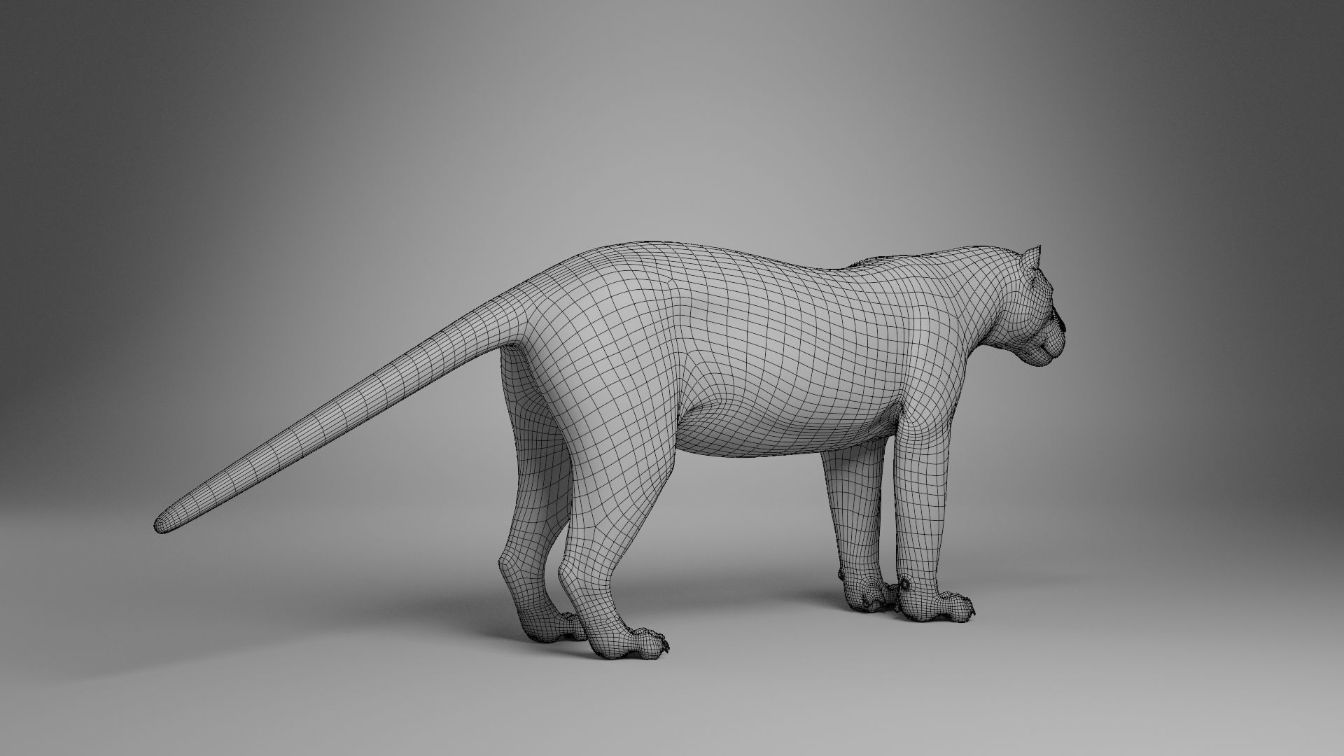 Jaguar-Panthera Onca- Animated   VFX Grace 3D model_14