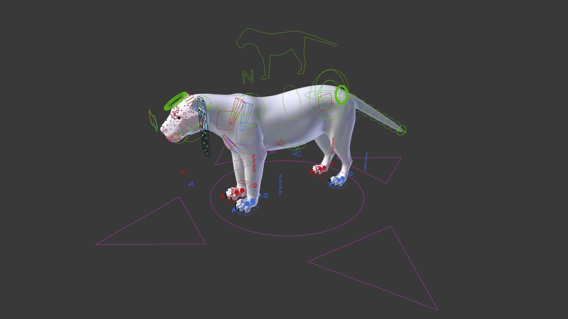 Jaguar-Panthera Onca- Animated   VFX Grace 3D model_16