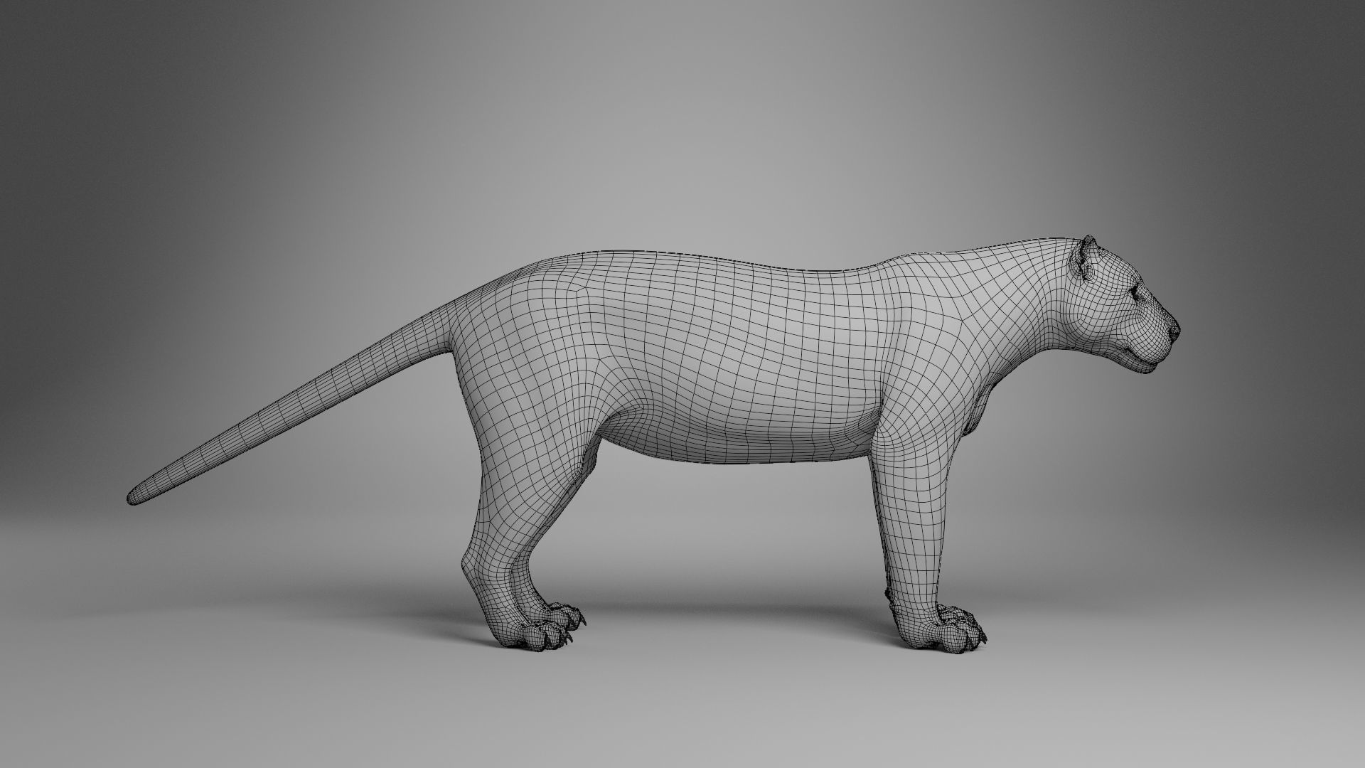 Jaguar-Panthera Onca- Animated   VFX Grace 3D model_13