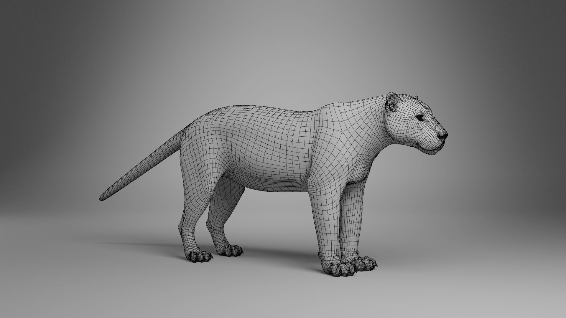 Jaguar-Panthera Onca- Animated   VFX Grace 3D model_15