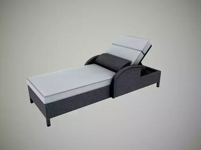 Luxurious Lounger