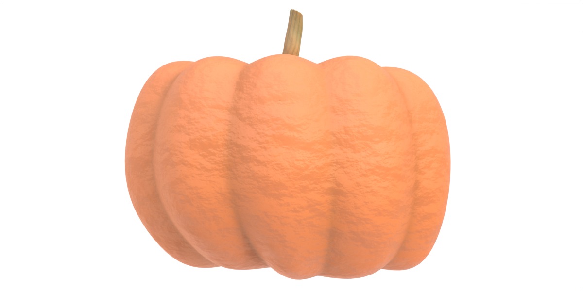 Pumpkin 10 3D model_4