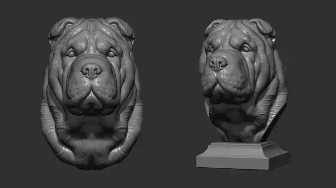 Shar Pei dog head 3D print model