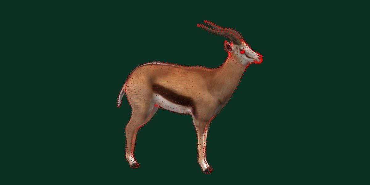 Springbok Antelope Animal  Low-poly 3D model_6