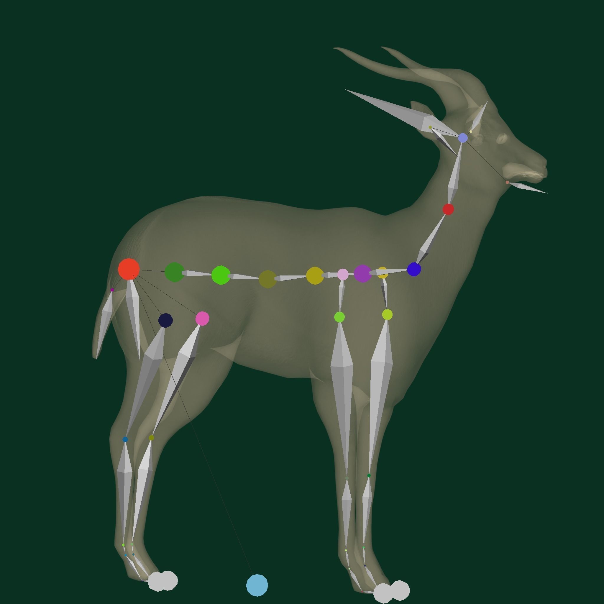 Springbok Antelope Animal  Low-poly 3D model_11