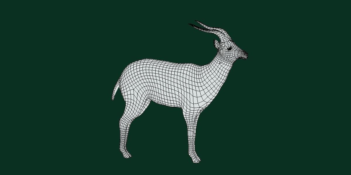 Springbok Antelope Animal  Low-poly 3D model_5