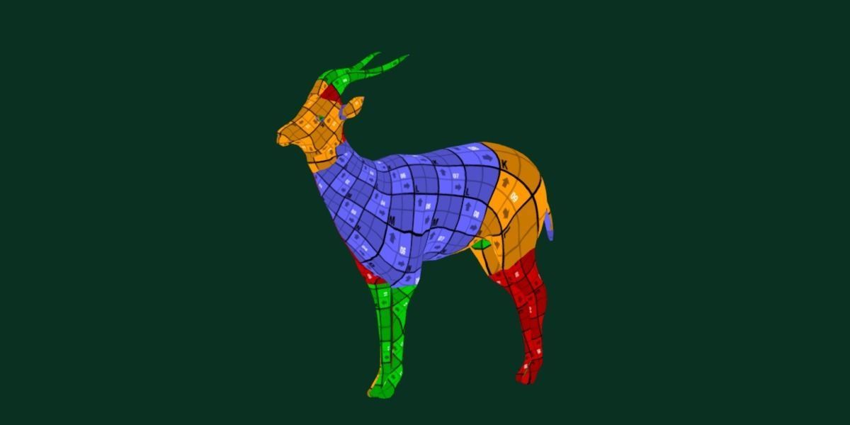 Springbok Antelope Animal  Low-poly 3D model_8
