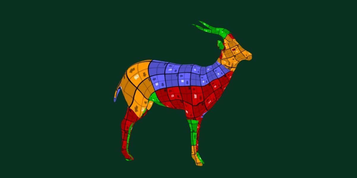 Springbok Antelope Animal  Low-poly 3D model_7