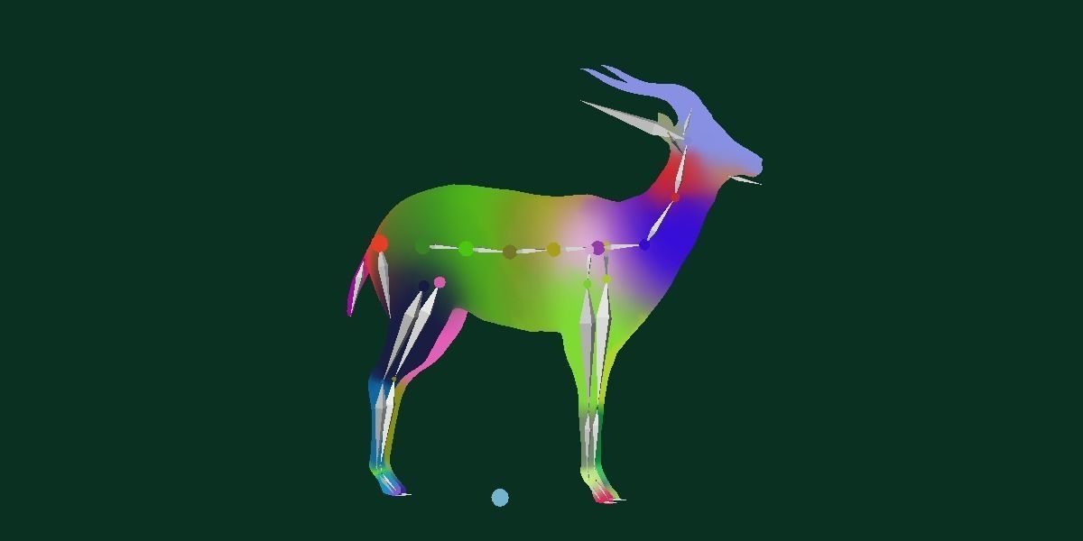 Springbok Antelope Animal  Low-poly 3D model_15