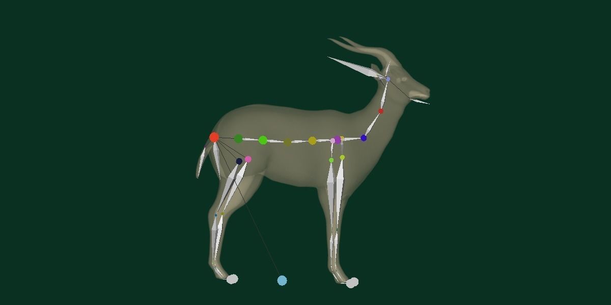 Springbok Antelope Animal  Low-poly 3D model_14