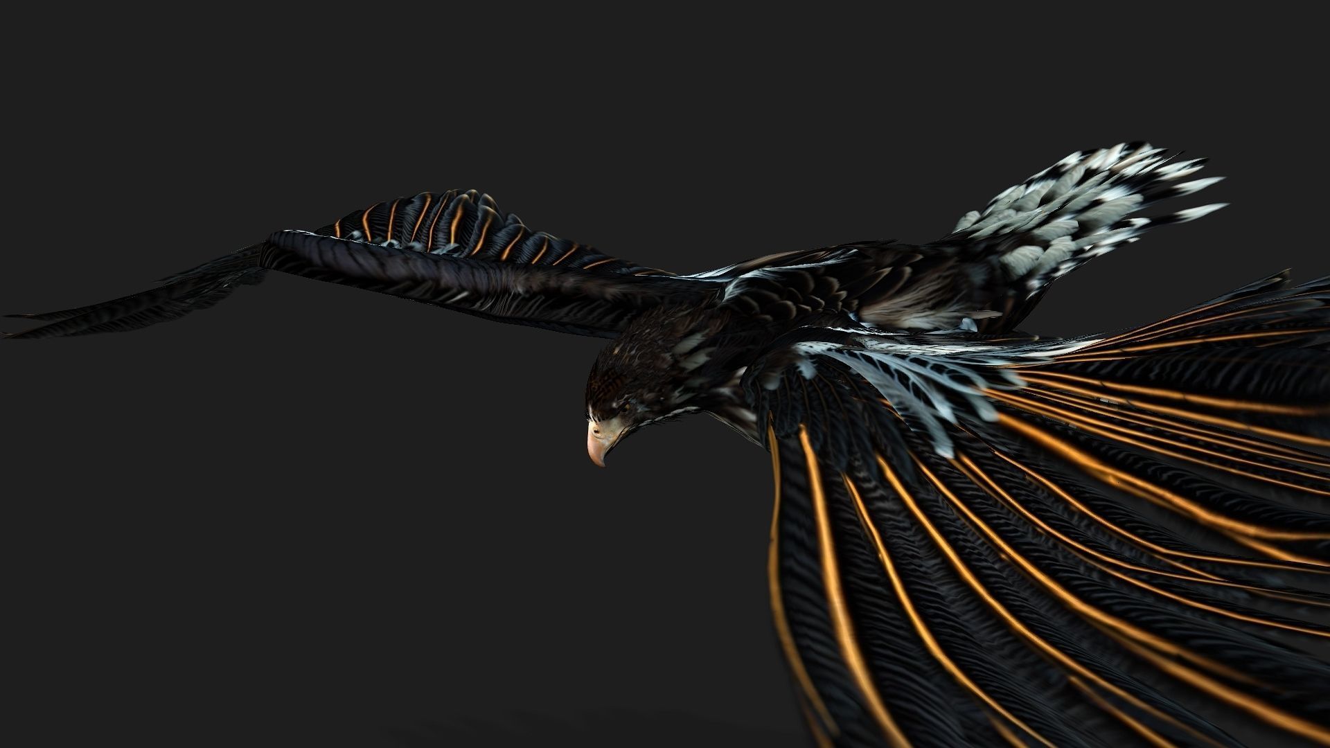 Eagle A4 3D model_7
