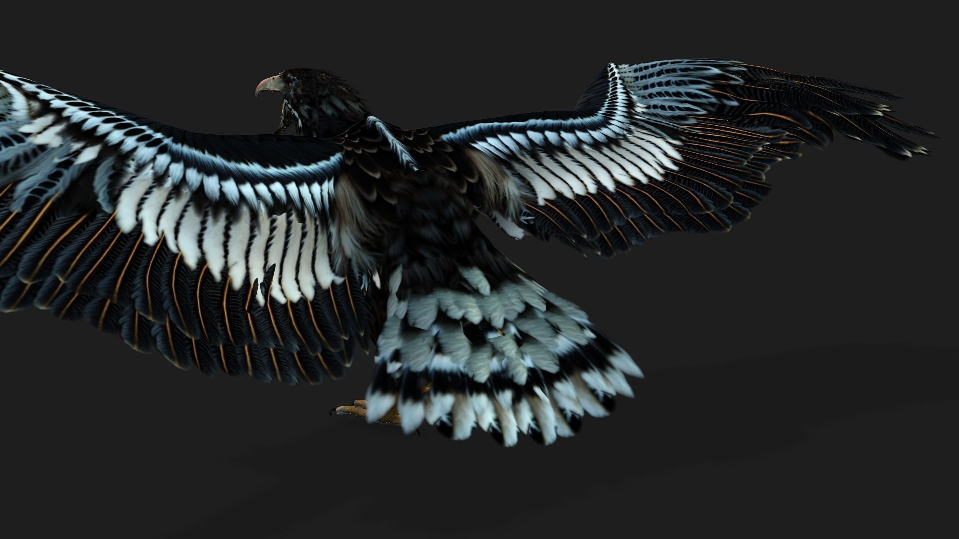 Eagle A4 3D model_14