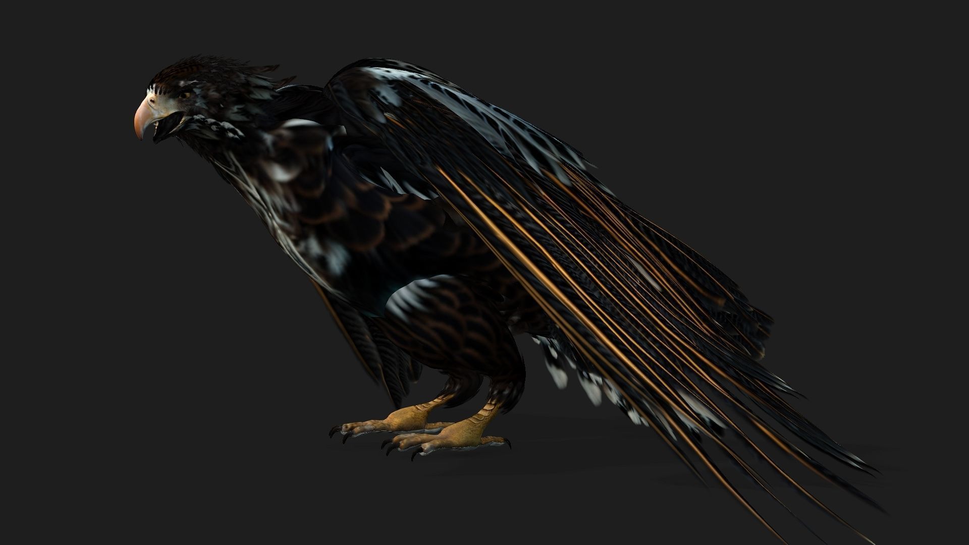 Eagle A4 3D model_15