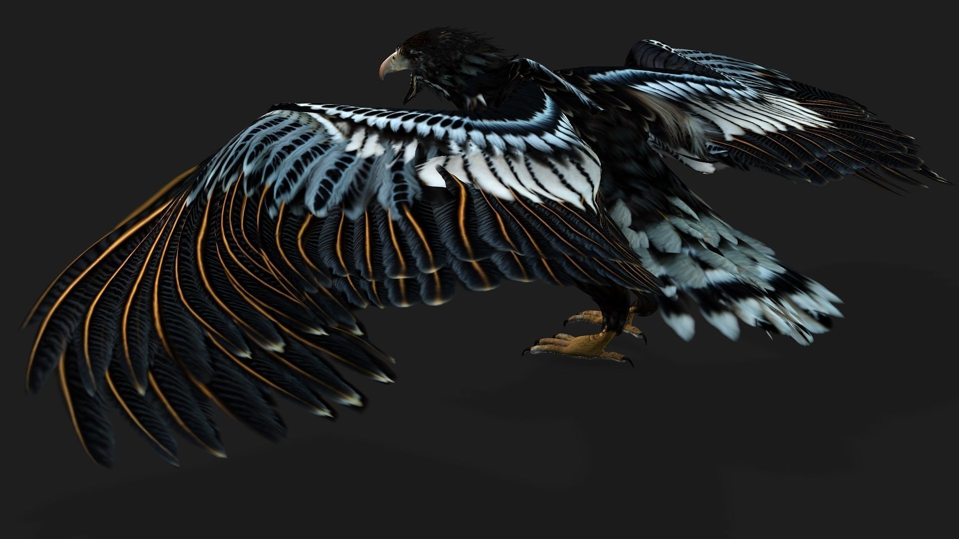 Eagle A4 3D model_13