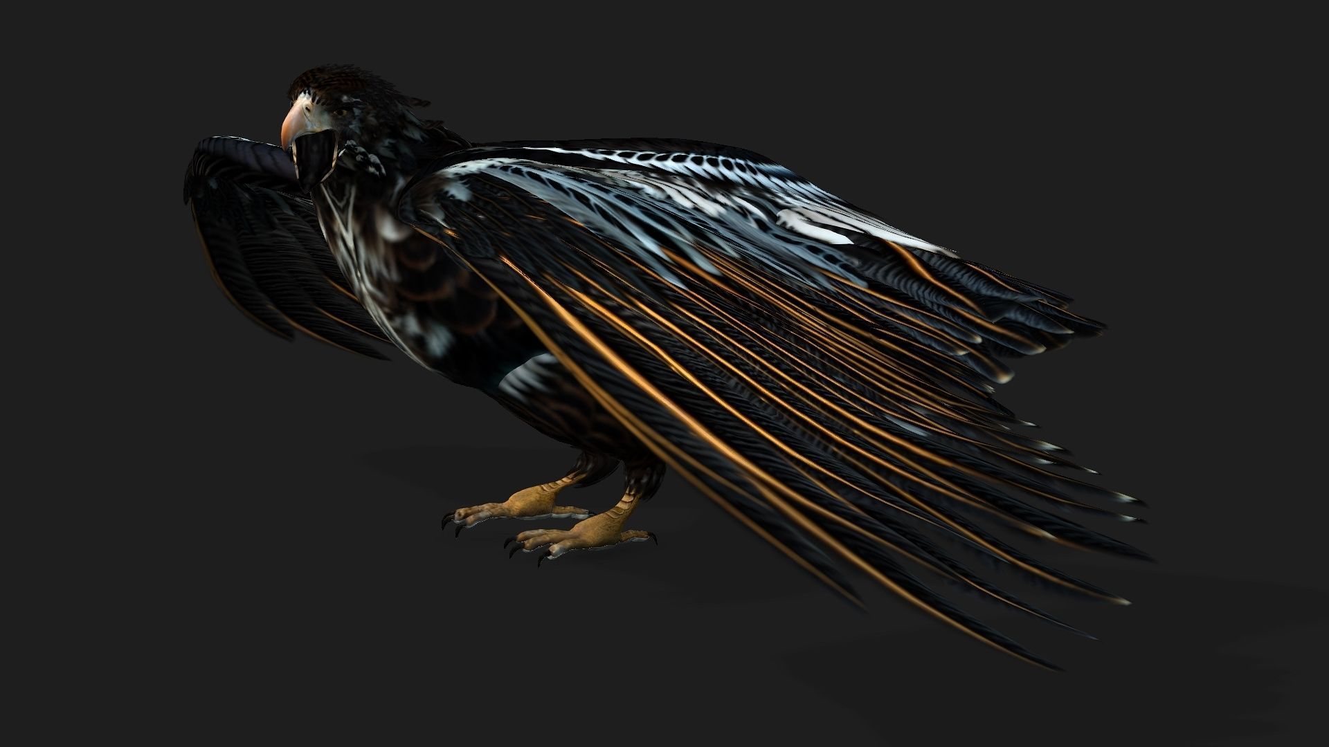 Eagle A4 3D model_12