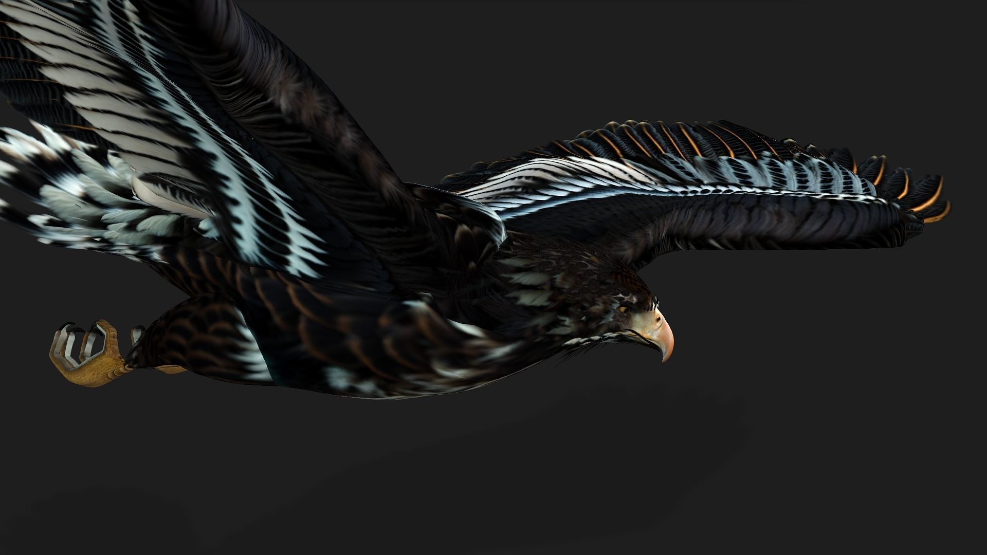 Eagle A4 3D model_11