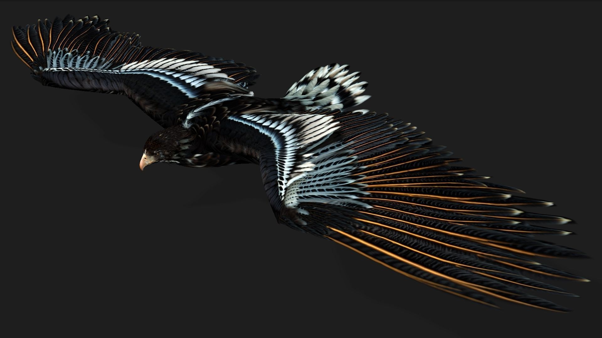 Eagle A4 3D model_2