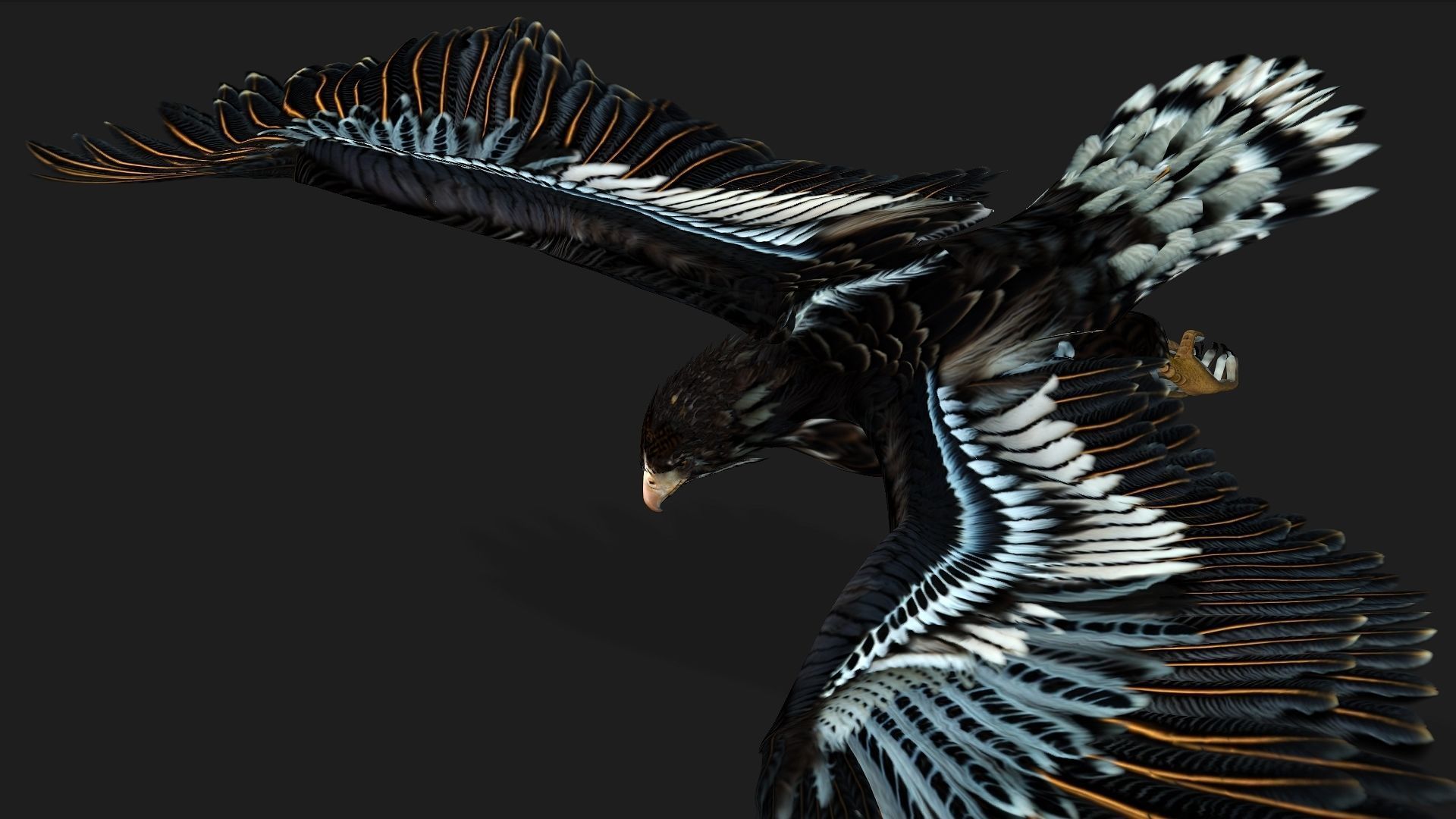 Eagle A4 3D model_6