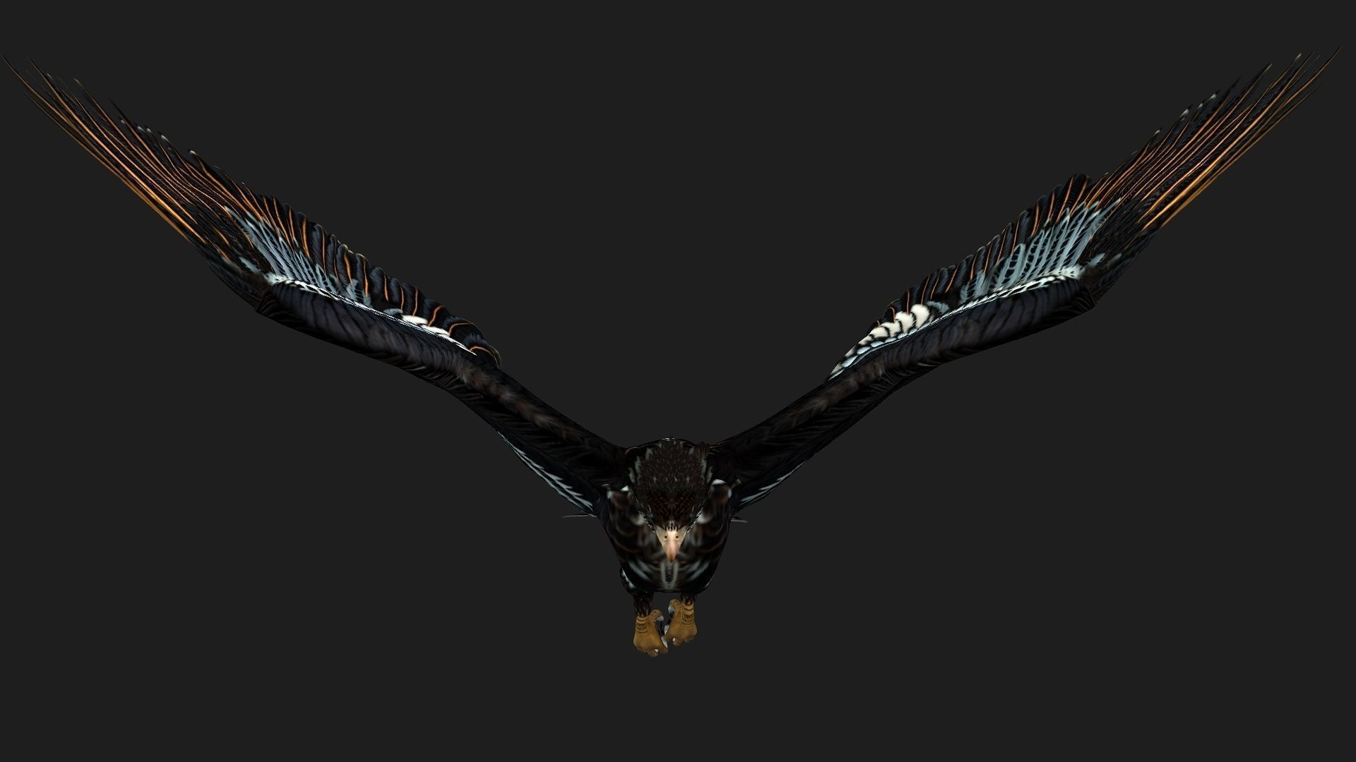 Eagle A4 3D model_3