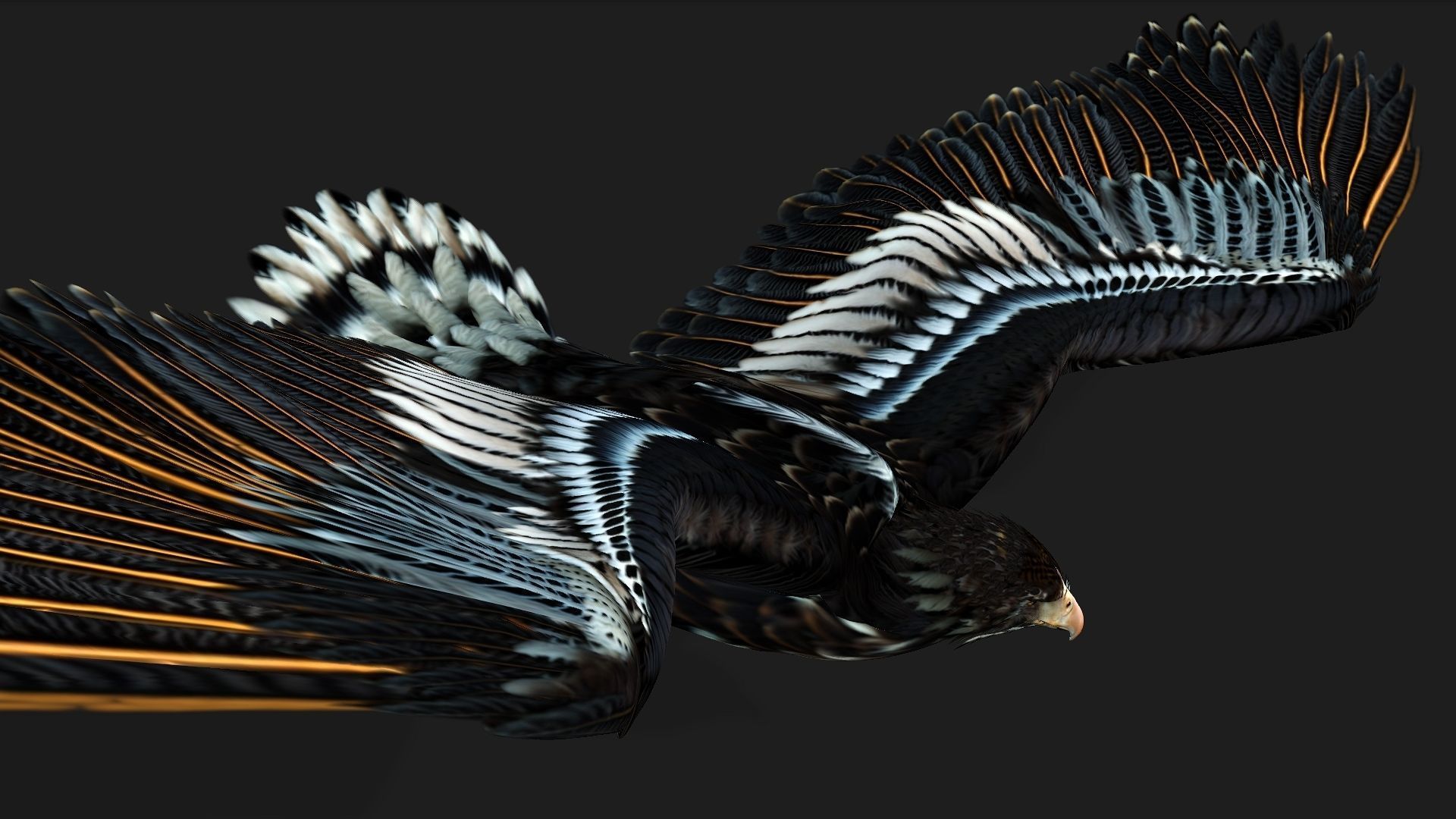 Eagle A4 3D model_10