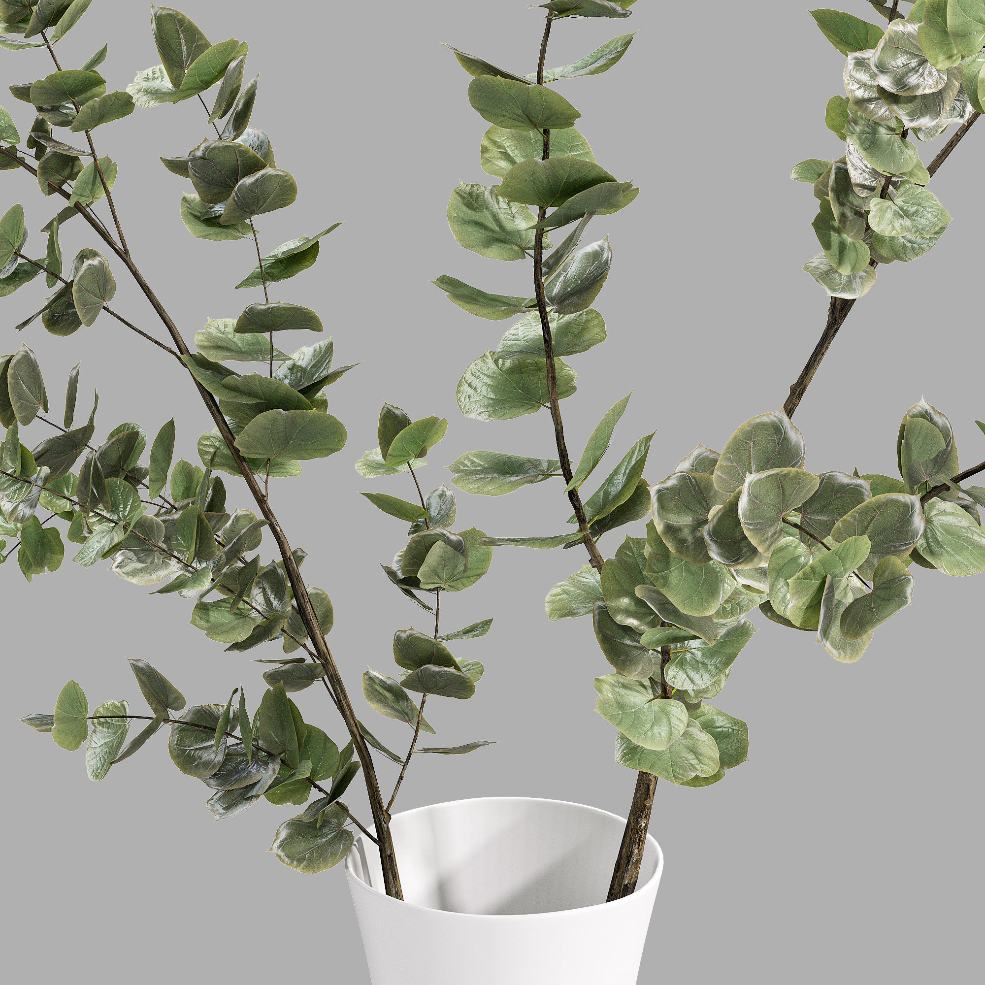 Faux Eucalyptus Branch 3D model_1