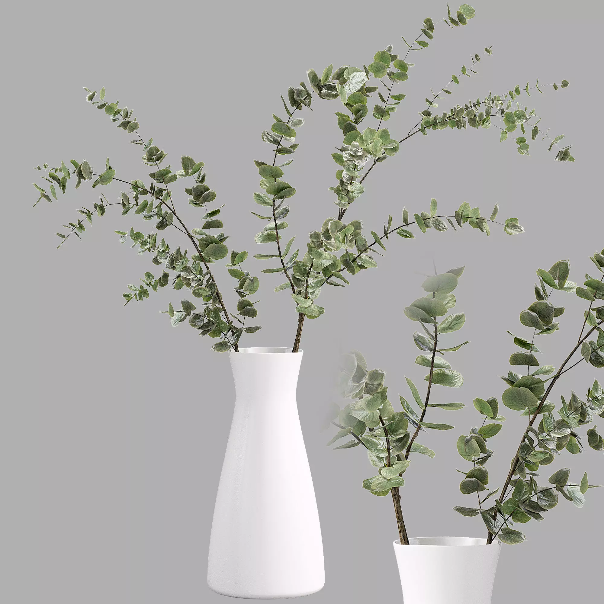 Faux Eucalyptus Branch 3D model_0