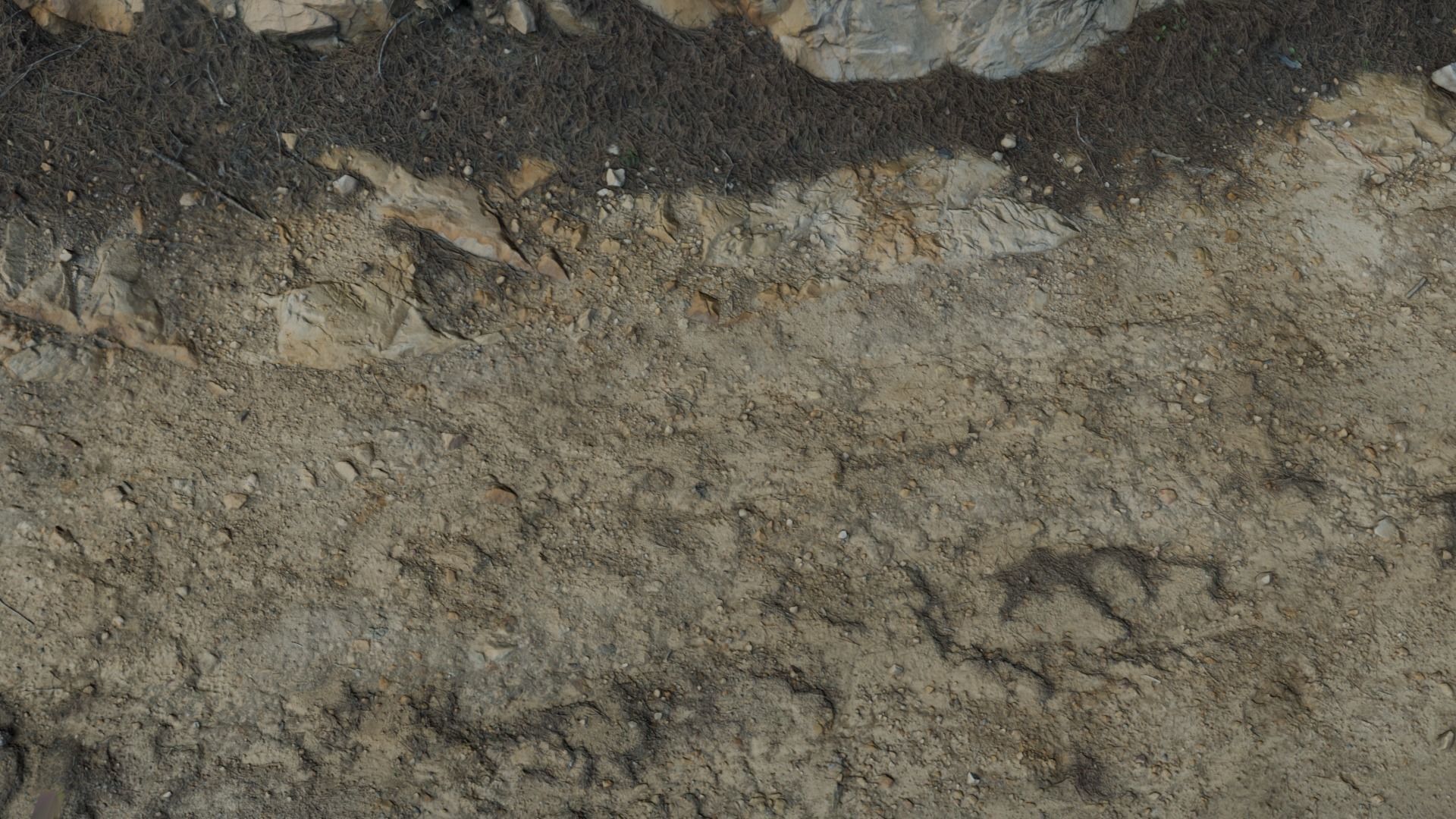 lapenaridge02 3D model_5