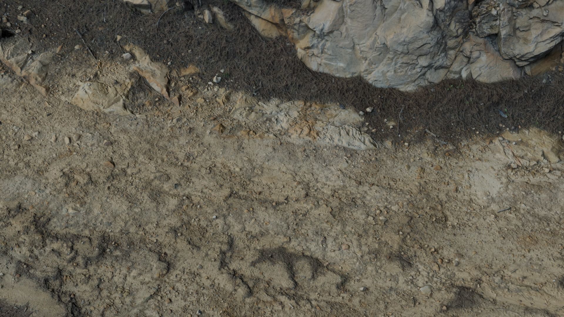 lapenaridge02 3D model_9