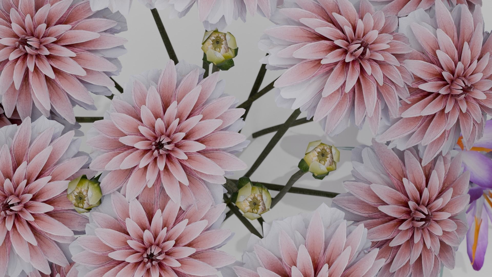 Flowers Pack 3D model 3D model_1