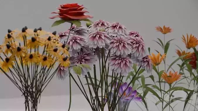 Flowers Pack 3D model