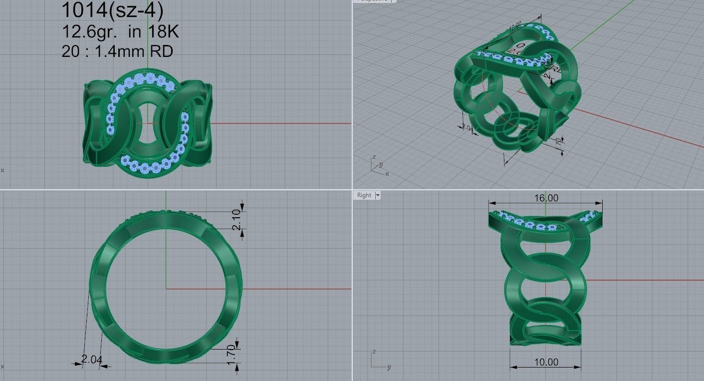 Chain Ring 1014 3D print model_4
