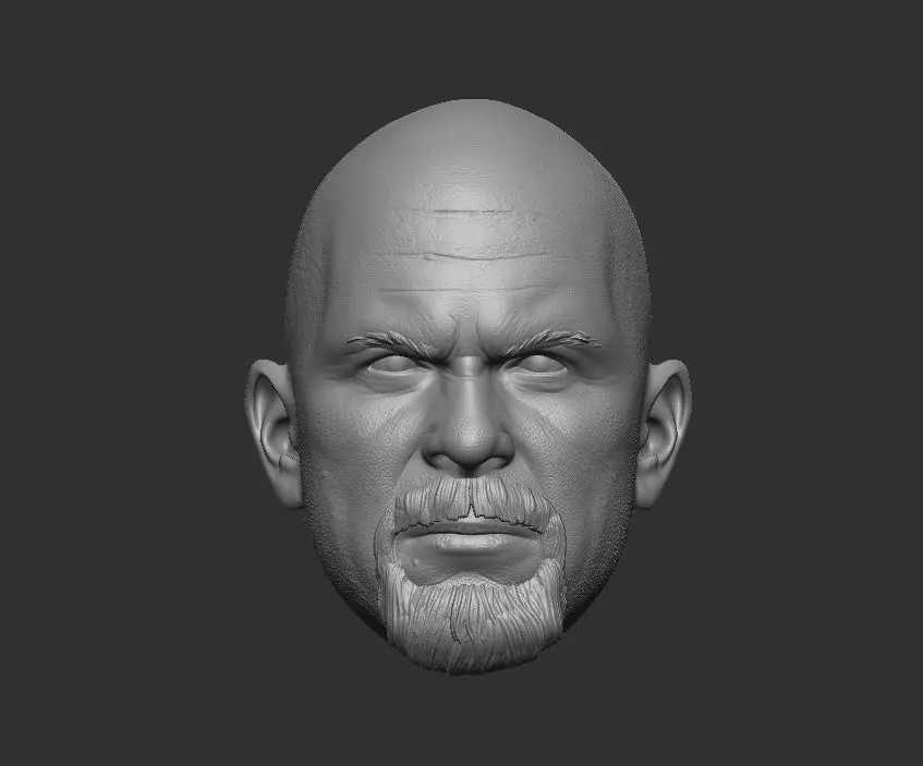Stone Cold Steve Austin - Headsculpt for Action Figures 3D print model_0