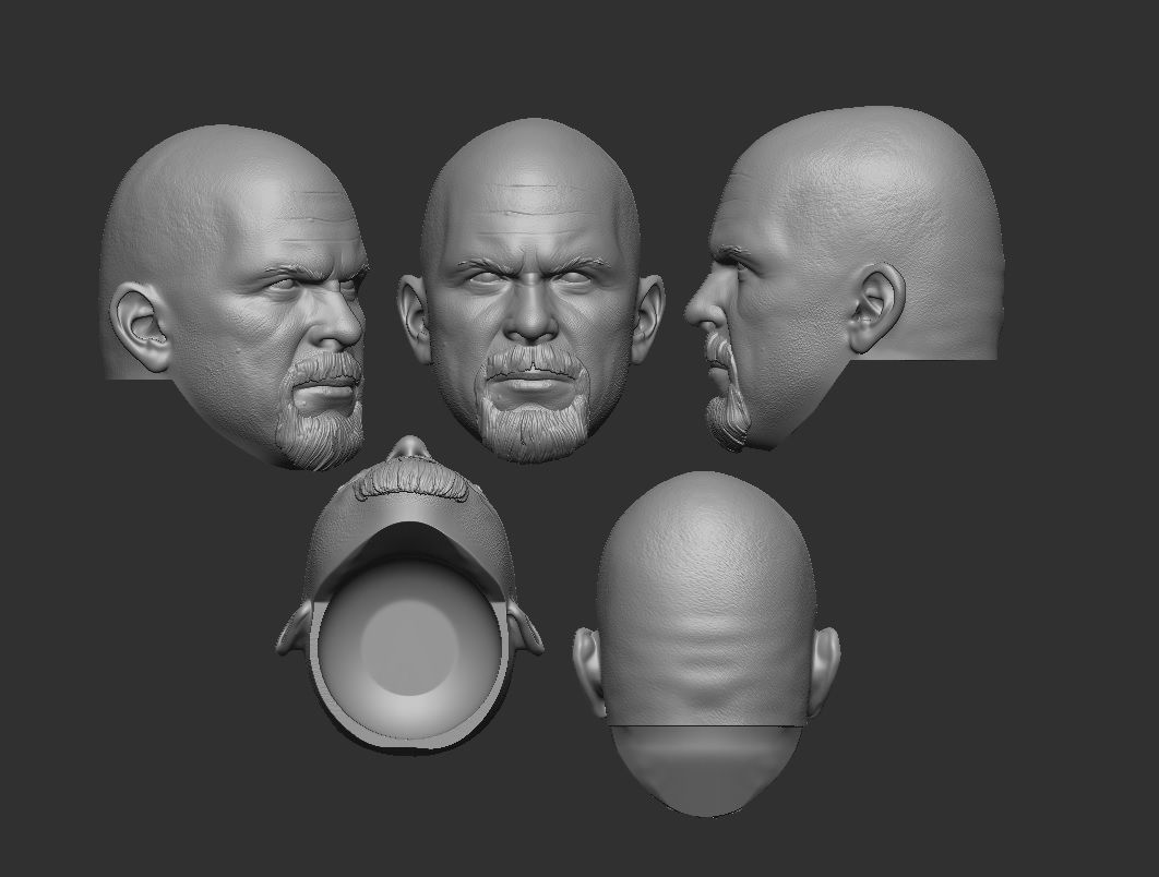 Stone Cold Steve Austin - Headsculpt for Action Figures 3D print model_1