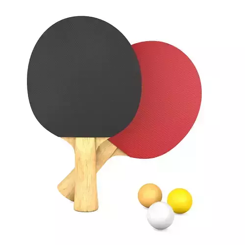Ping Pong Set 