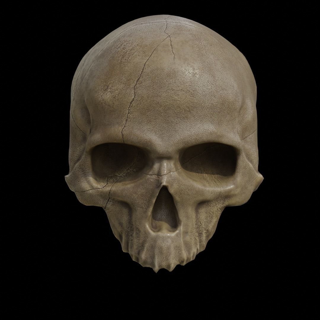 Skull Low-poly 3D model_3