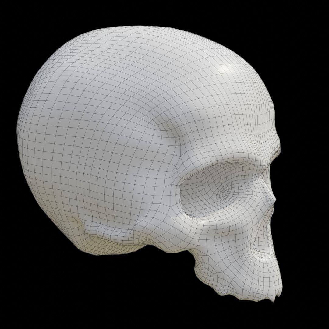 Skull Low-poly 3D model_6